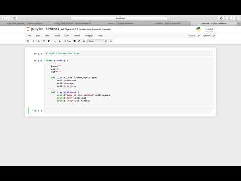 Python OOPS Public Access Modifier