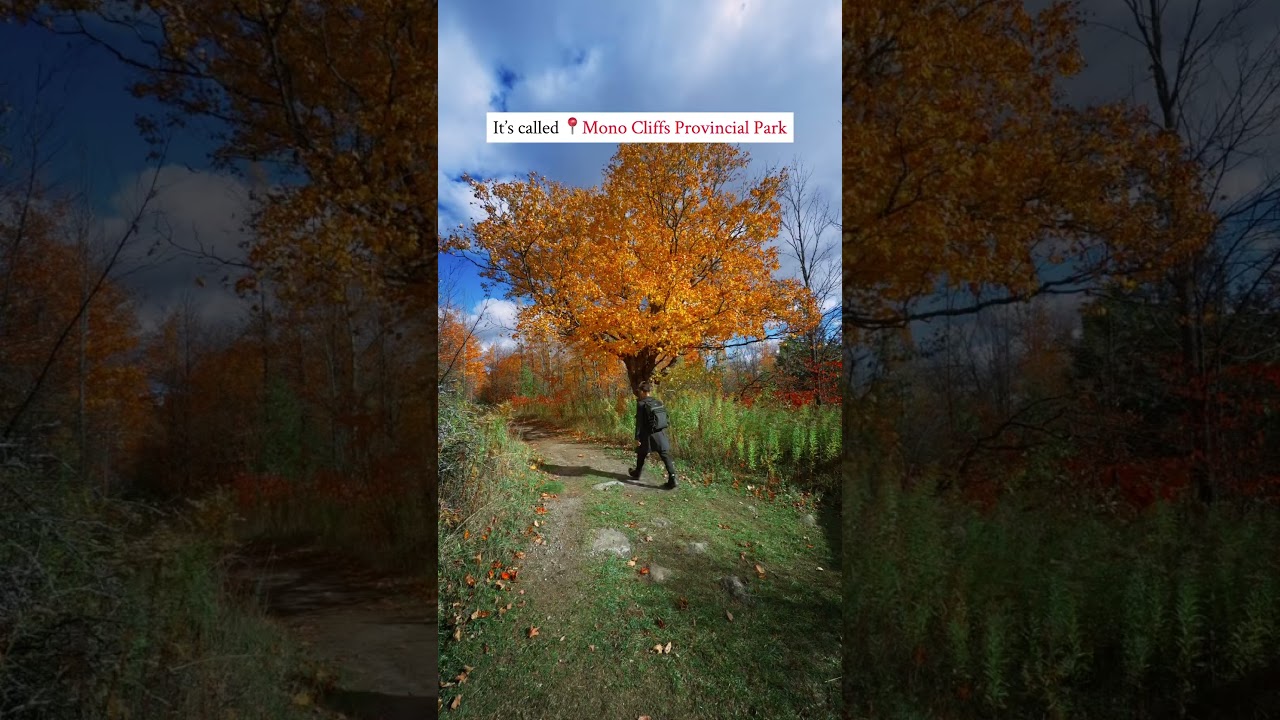 A must visit spot in Ontario fall. 