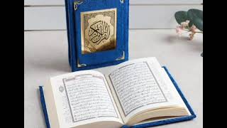 آيات من سورة البقرة وآل عمران: القارئ محمد حسين عامر