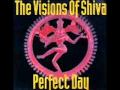THE VISIONS OF SHIVA PERFECT DAY