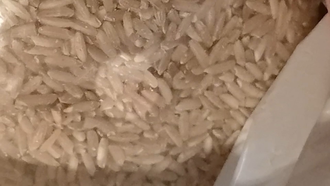 San Francisco woman finds insects inside rice bags from Amazon: 'There were things wiggling in it!'