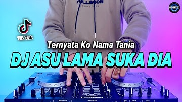 DJ ASU LAMA SUKA DIA REMIX FULL BASS VIRAL TIKTOK TERBARU 2023 | DJ TERNYATA KO NAMA TANIA