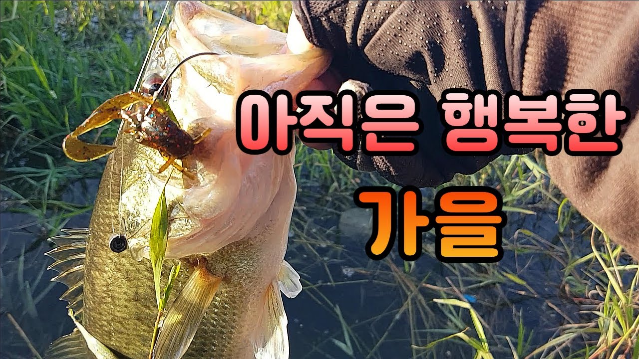 아직 끝나지 않은 즐거운 가을 배스 낚시 Bass Fishing