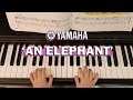 An elephant yamaha jxc book 1 hayley ong