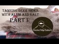 Tanning Deer Hides with Alum and Salt *PART ONE*