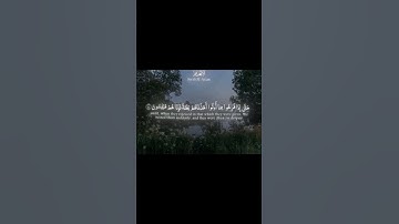 #أذكار #قرآن #استغفر_الله #اللهم_صل_وسلم_على_نبينا_محمد #تلاوات #ذكر_الله #سبحان_الله