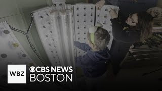 Littleton students learn about food through classroom hydroponic farm