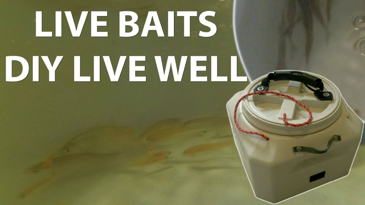 DIY Portable Live Well Bait tank for Bait Fish under $25: How to