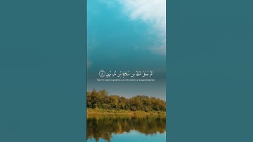 القرآن الكريم راحة نفسية ♥️🌿