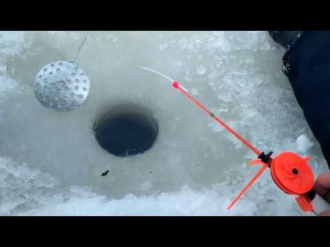 Video: Winter Fishing Tricks. How To Bring A Perch. Weather Is Not A Hindrance