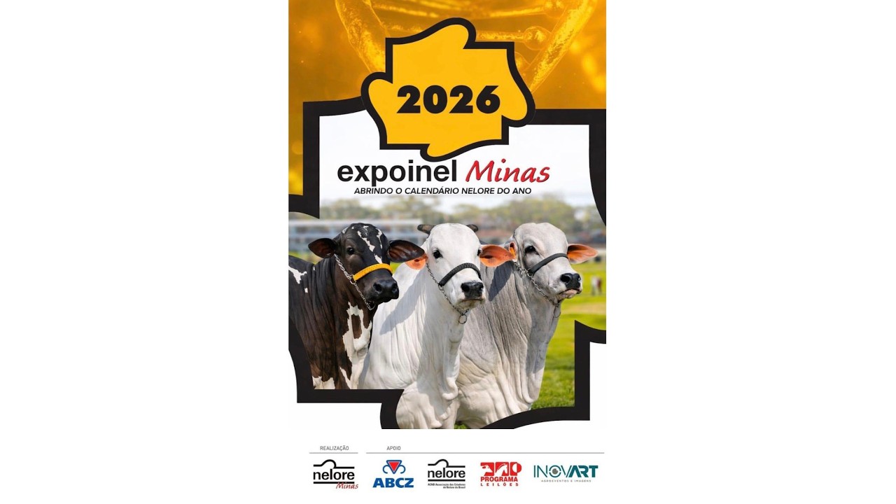EXPOINEL MINAS 2026 - 03/02 - JULGAMENTO DA RAÇA NELORE