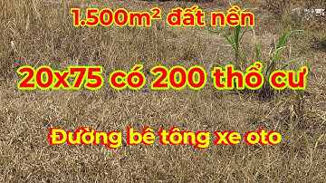 Tập1️⃣0️⃣0️⃣...Mảnh đất làm nhà vườn siêu đẹp ở huyện Gò Công Đông..Tiền Giang, cách chợ chỉ 1,5km.