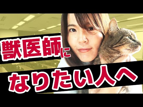 獣医師になる方法を解説！ 獣医師になりたい人のためのチャンネルを立ち上げました。直接質問もしてね。