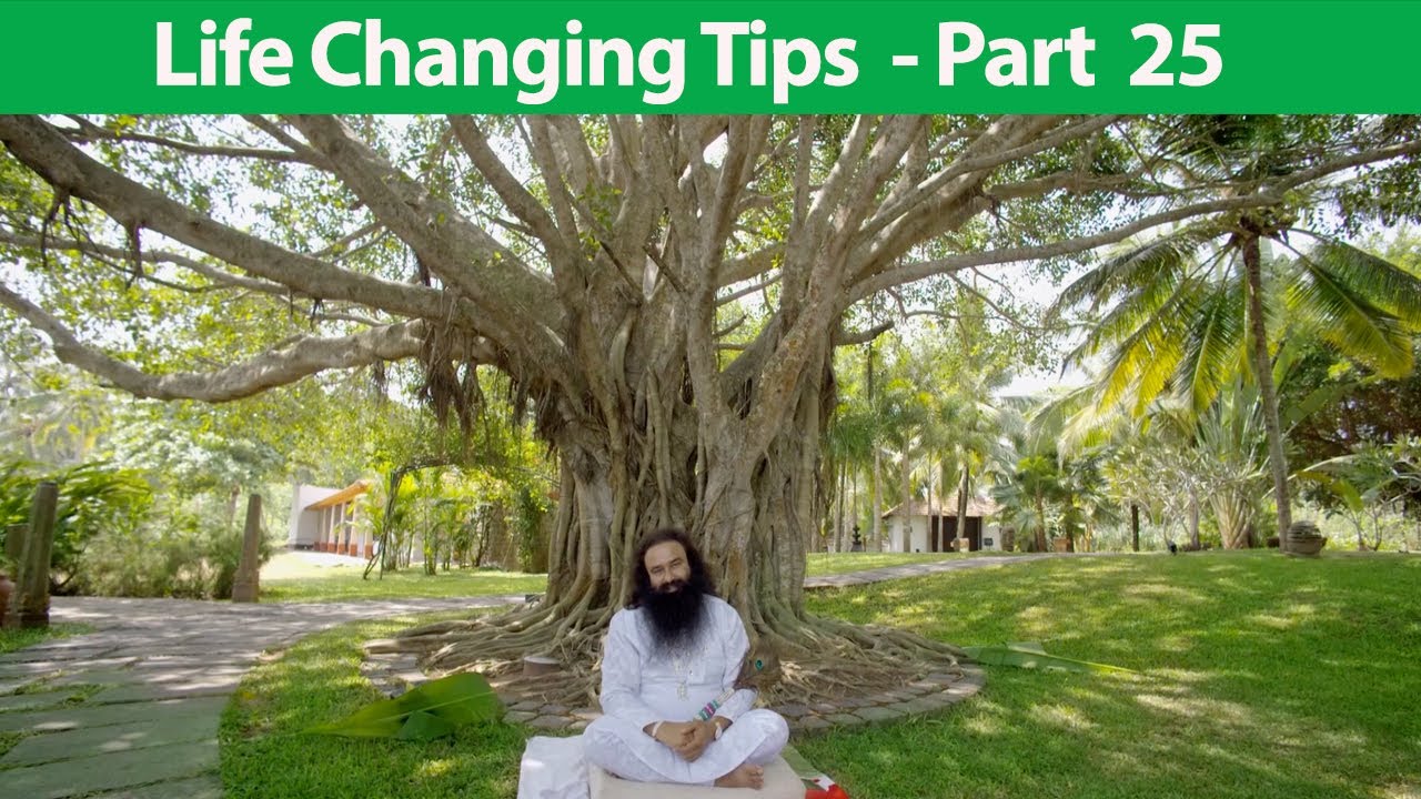 Meditation for Spiritual Growth | Gurmeet Ram Rahim Singh | Life Changing Tips