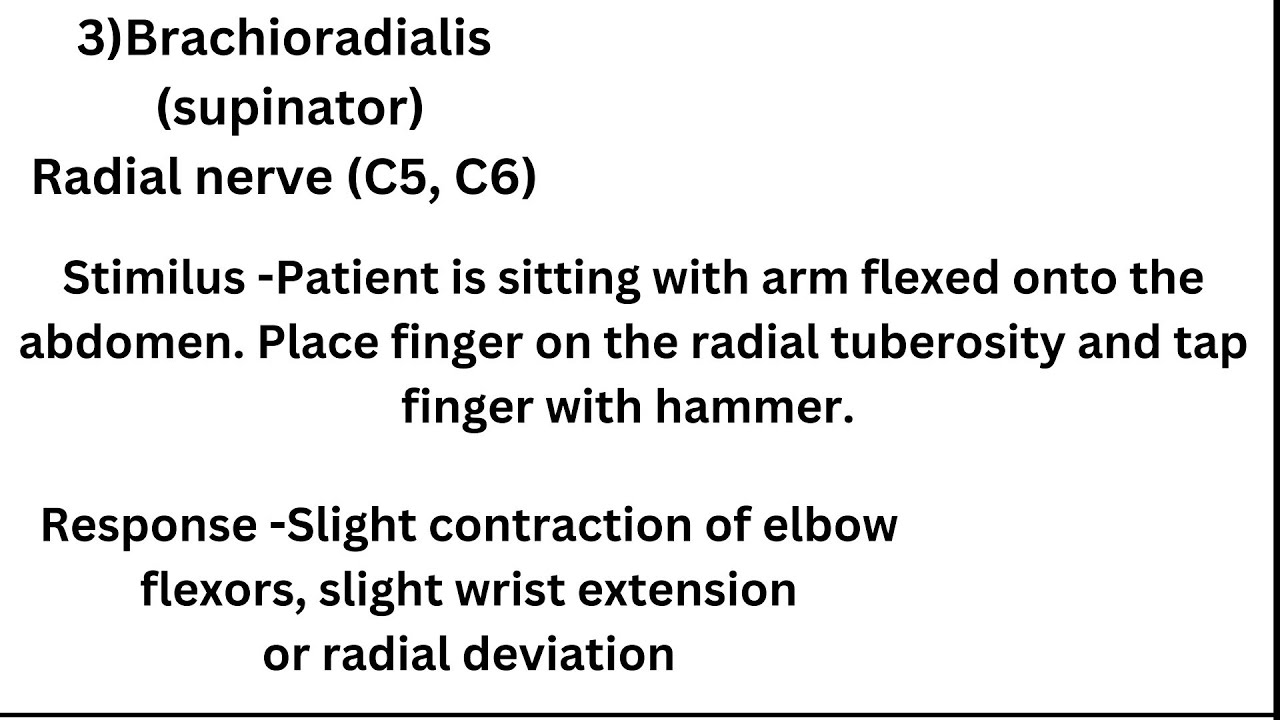 Brachioradialis reflex or supinator reflex - Deep tendon reflex