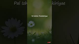 Koththa Kothudhu Bodha (Lyrics) 🎶 | Dagaalty | Vijaynarain | Santhosh Narayanan | Govind Vasantha