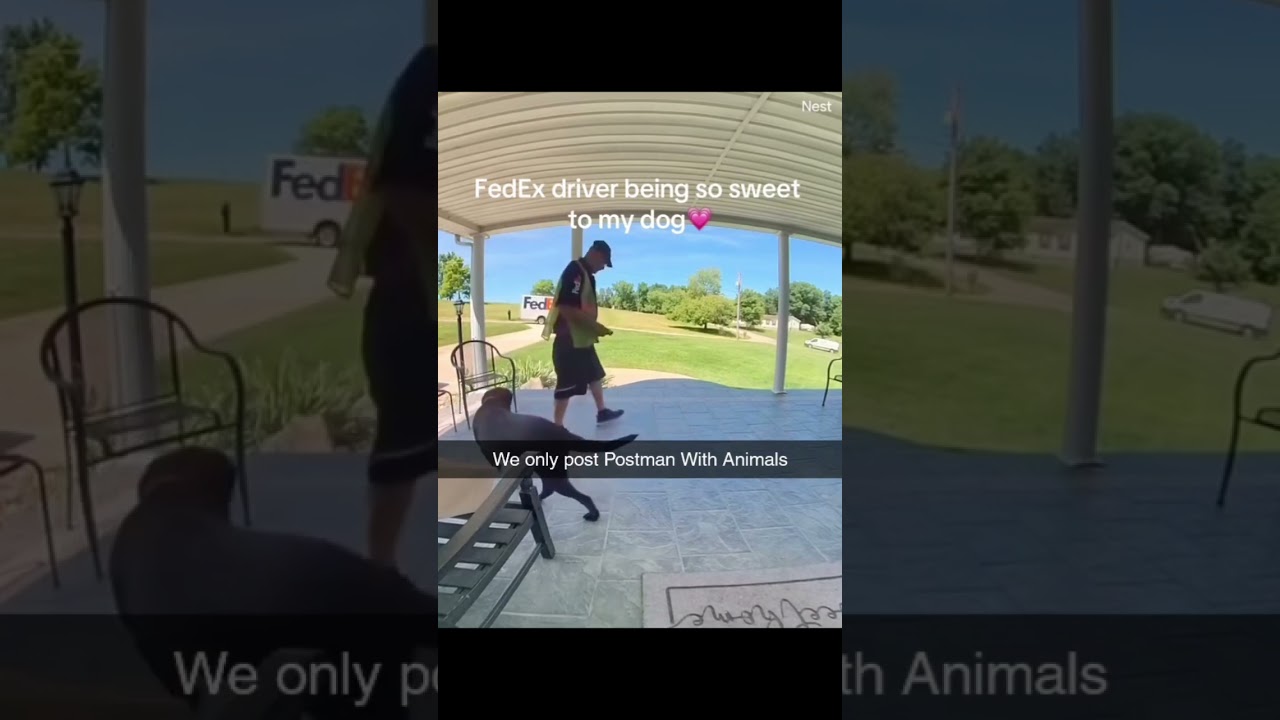 When the mail comes with a side of furry friends! delivery route ever 