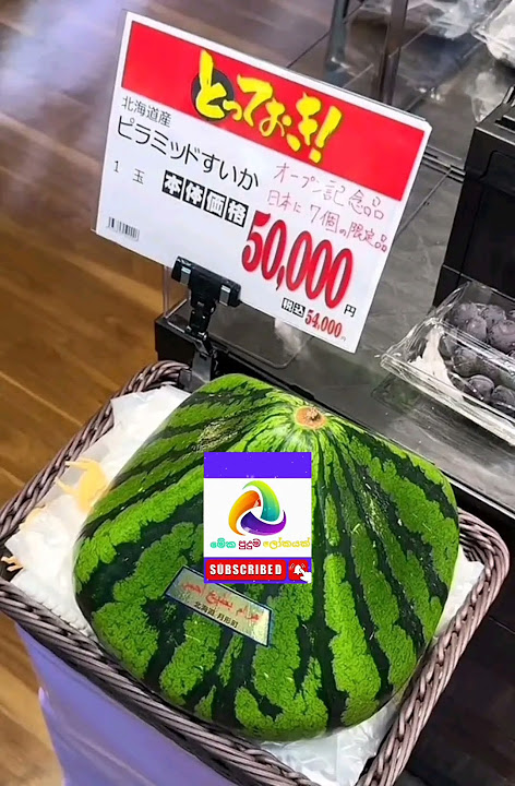 කොමඩු (Japan)Rs: 113000/- 👀 #wadan