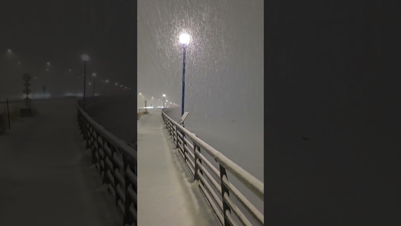 Evening walk under the snow. 