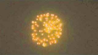 4 Lemon strobe s