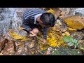 SURVIVAL DI PINGGIR SUNGAI..KAYA DENGAN EMAS..HARTA KARUN DI HUTAN RIMBA BELANTARA~GOLD NUGGET FOUND