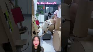 Isi bens!n Belum bayar⁉️ FactsSuno-y6t