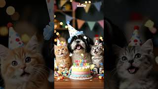Trio Fofura Cantando Parabéns: Cachorrinho e Gatinhos em Festa
