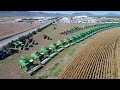 Corn Harvest 2017 in Chihuahua Mex.