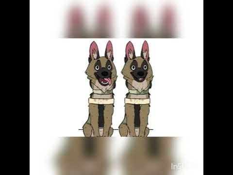 Брут и Цезарь 😣😢 - YouTube