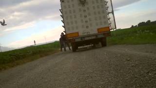 Melk30712