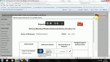 How to Do Window Delivery of Articals in CSI SAP Tool