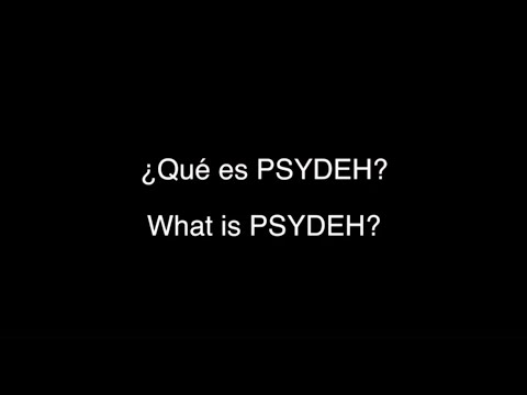 What is PSYDEH According to its Staff? (¿Qué es PSYDEH según su personal?)