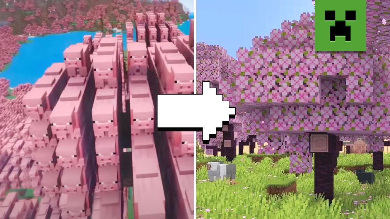 Minecraft Trails & Tales Update: Cherry Blossom Bome, how to play Bedrock  Beta & Java Snapshot - Dexerto