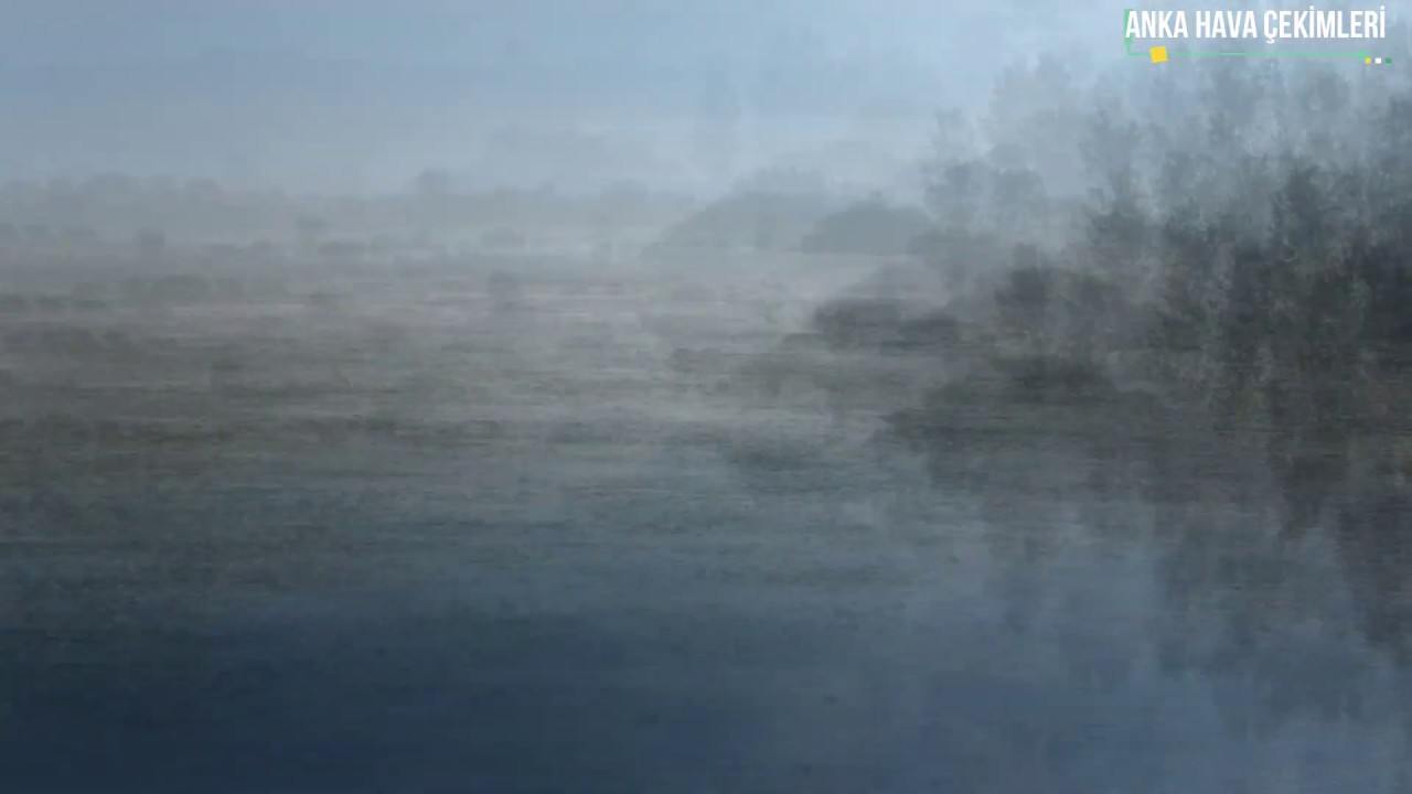 YouTube player