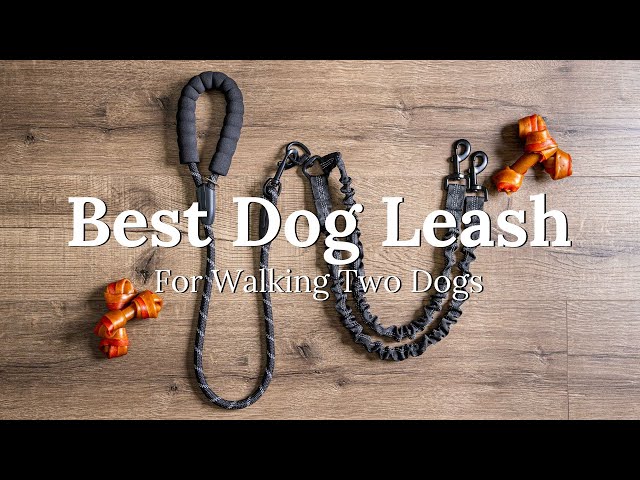 adjustable double dog leash Biothane Adjustable Dog Leash with Brass Hardware, Waterproof, 7 feet   Viper K9
