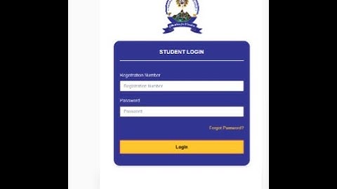 University Student Portal Overview