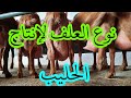 شوفو 🙋‍♂️العلف منين تنشريوه لتيعطنا الحليب وبثمن بخس 🐐🐐