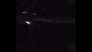 The Chemical Brothers - Hey Boy Hey Girl (8D audio) screenshot 4