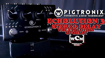 The Echolution 3 Evolves Our Delay (Pigtronix) | Working Class Music