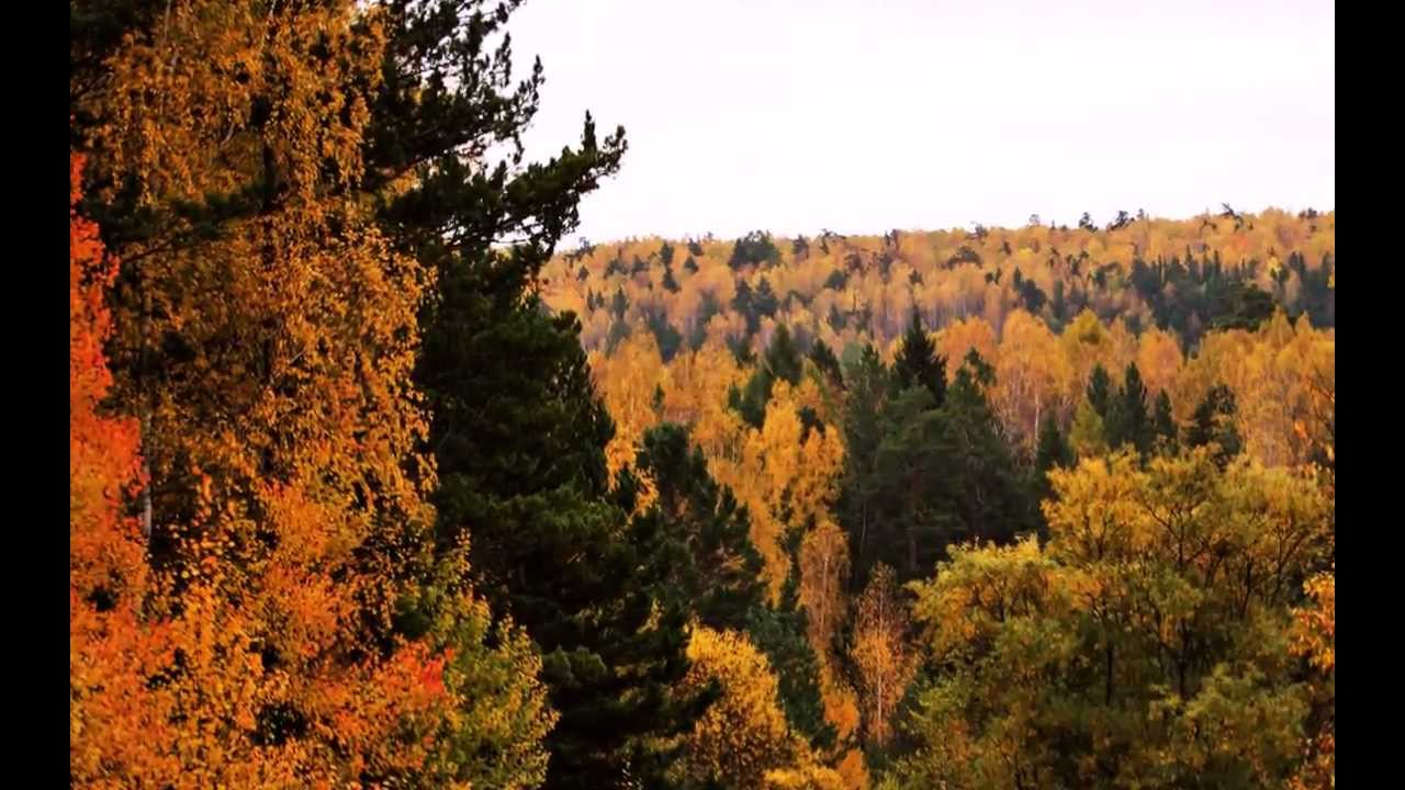 Осень.Зеленогорск Красноярский край. - YouTube