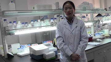 DNM9602A Elisa reader operation -first video