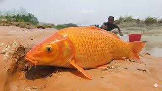 Local Guy Is Catching Everything On Hook Hook Fishing Made Easy