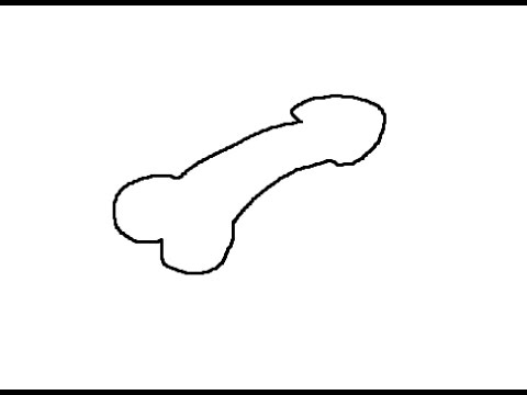 Penis Drawing 120