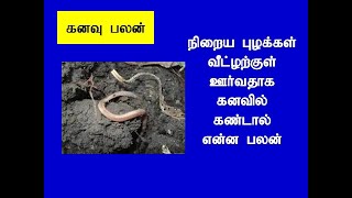 நிறைய புழுக்கள் வீட்டிற்குள் ஊா்வதாக கனவு கண்டால் என்ன பலன்/What good is it if you dream