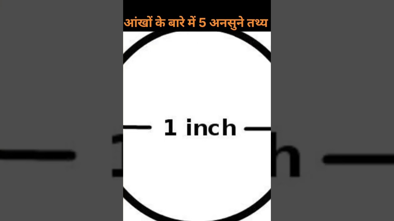 5 amazing fact about human eye by Abhi the Direct impact//