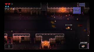 Enter the Gungeon.