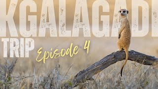 A BIG surprise at Mata Mata!  Kgalagadi Trip Episode 4/6