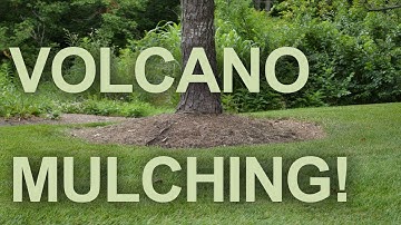 Volcano Mulching!