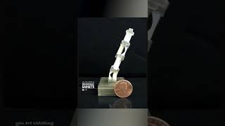 These Robots Can Change Their Shape Through Heat Only