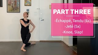 Beginner Level: NYCB's Kristen Segin, Ballet Lesson (SPAC Virtual Dance Lab)